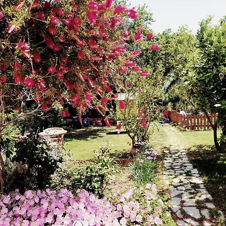 Plakias River Apartment Bagian luar foto