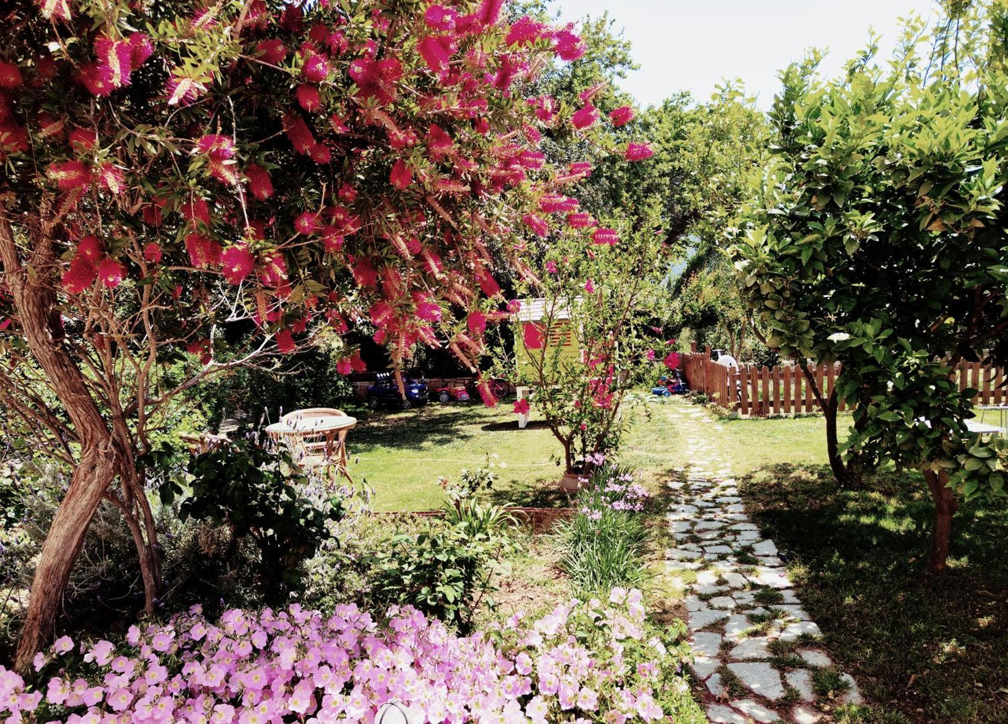 Plakias River Apartment Bagian luar foto